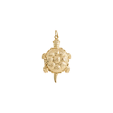 Whispering Turtle Charm