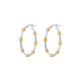 Dual Hoop Earrings