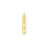 Identity_Charm_Vertical_Bar_Perforated