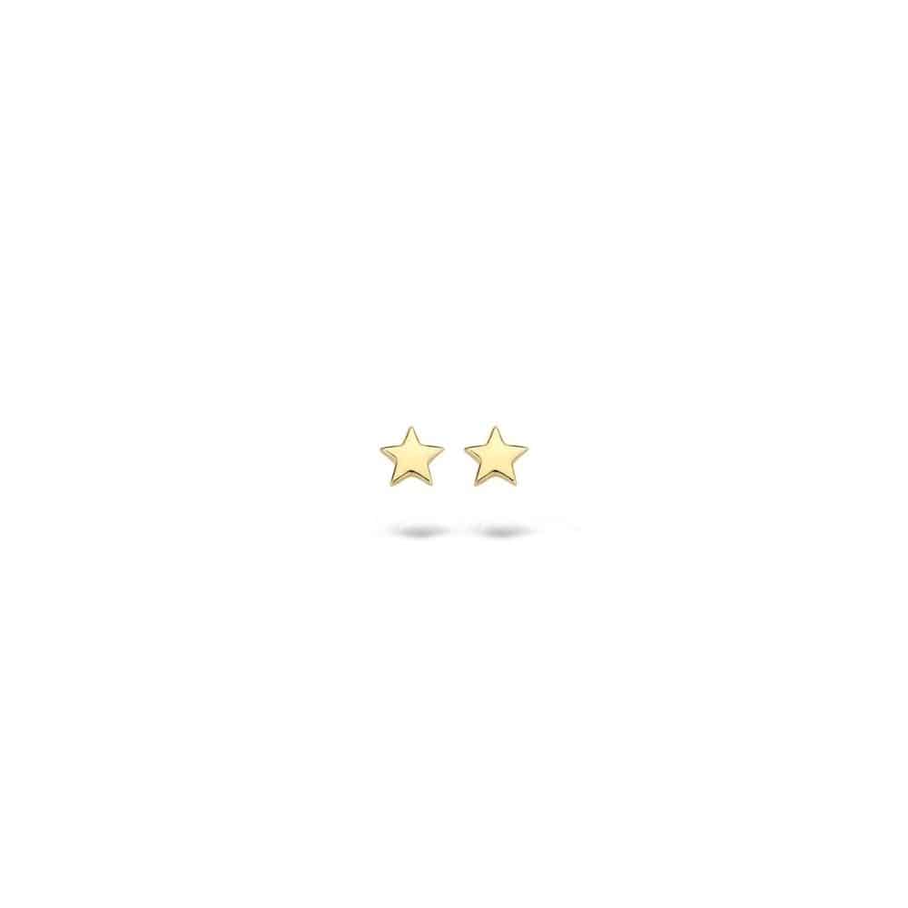 Oorbellen_7247YGO