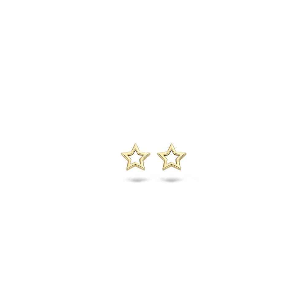 Oorbellen_7248YGO