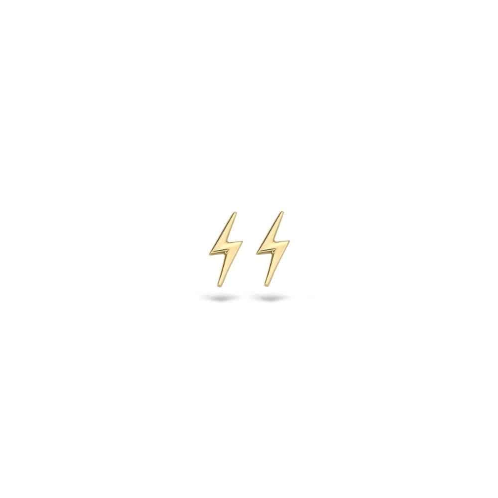 Oorbellen_7249YGO