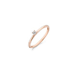 Ring_1200RZI